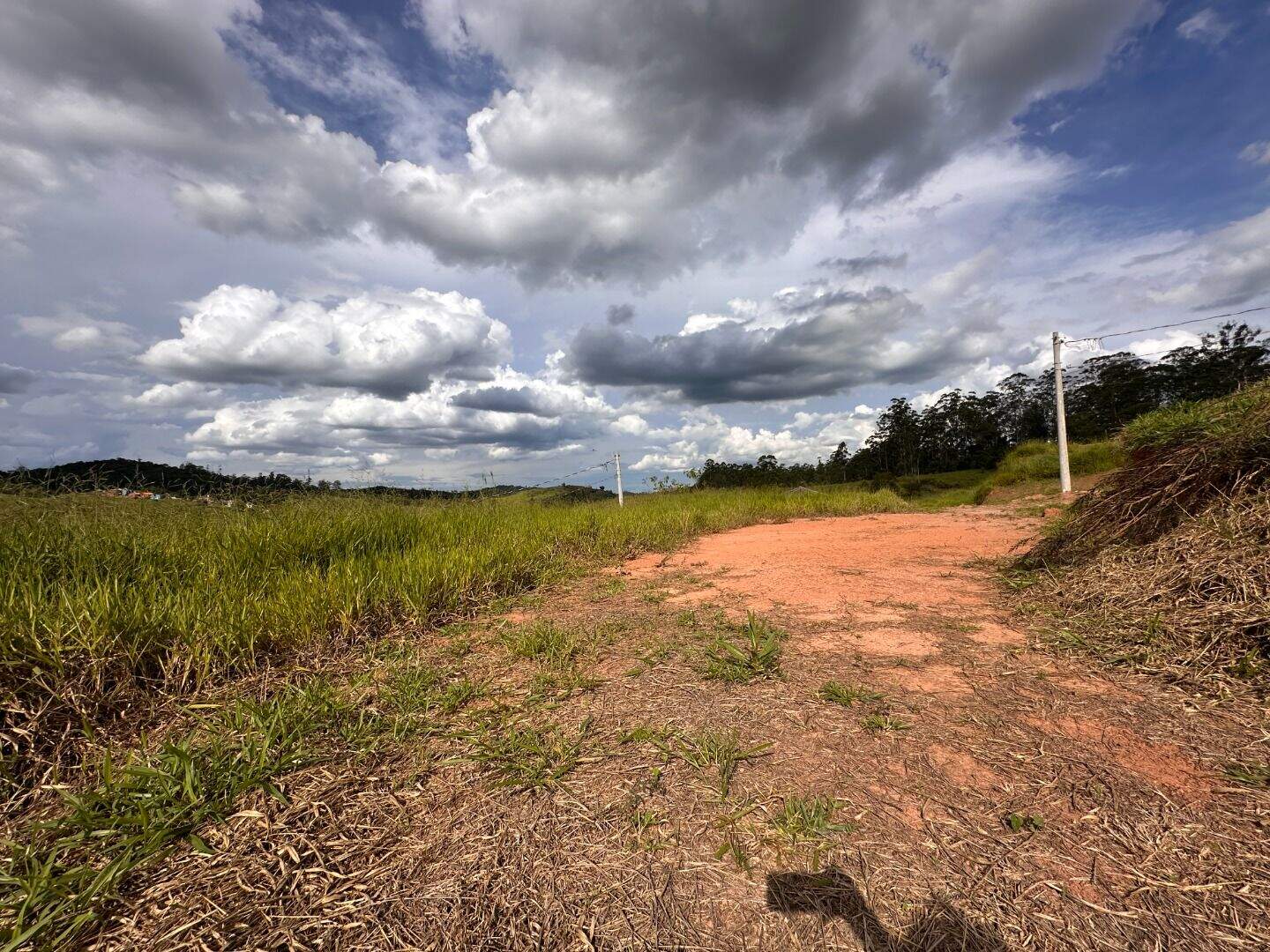 Terreno à venda no Ipiranga: 