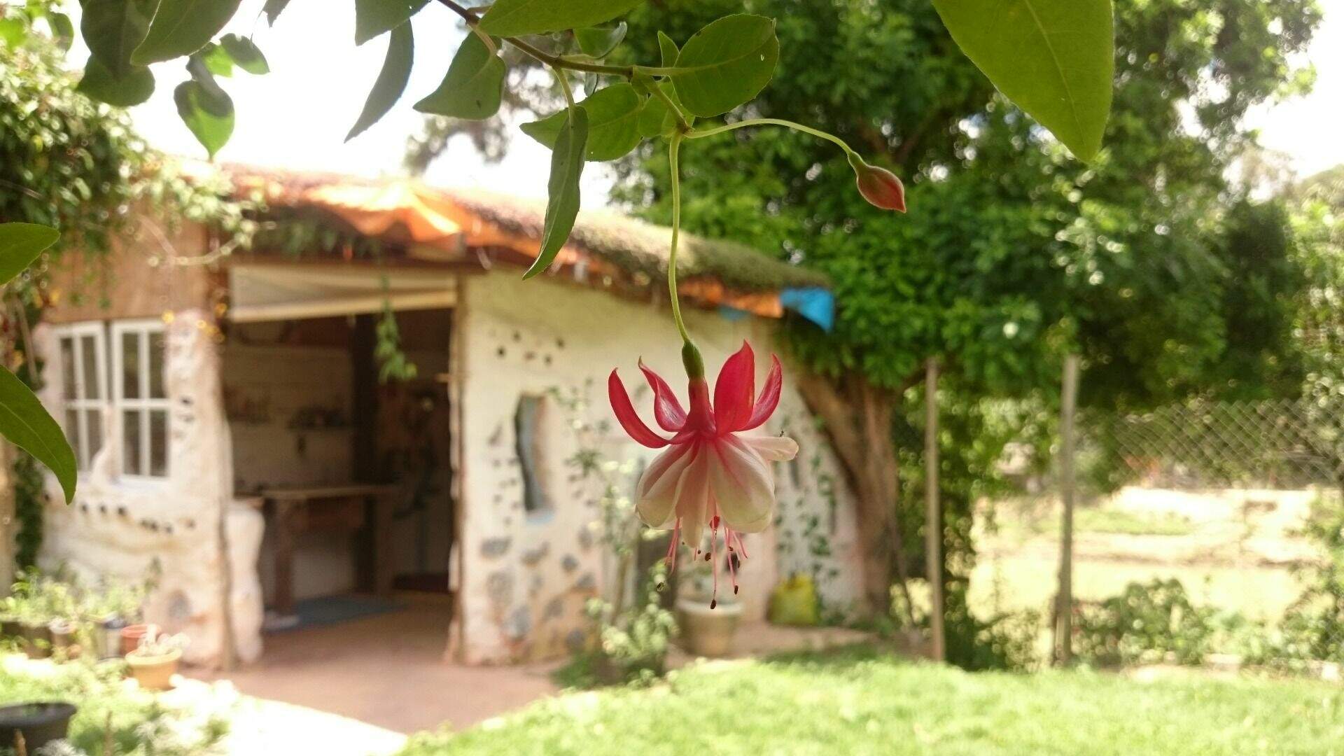 Casa à venda no Jardim Itapema: 