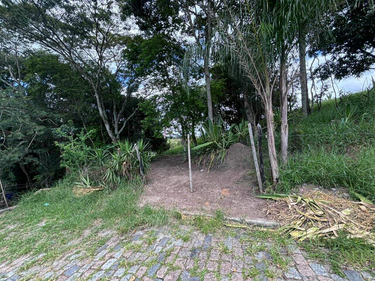Terreno à venda no Jardim Dulce (Nova Veneza): 