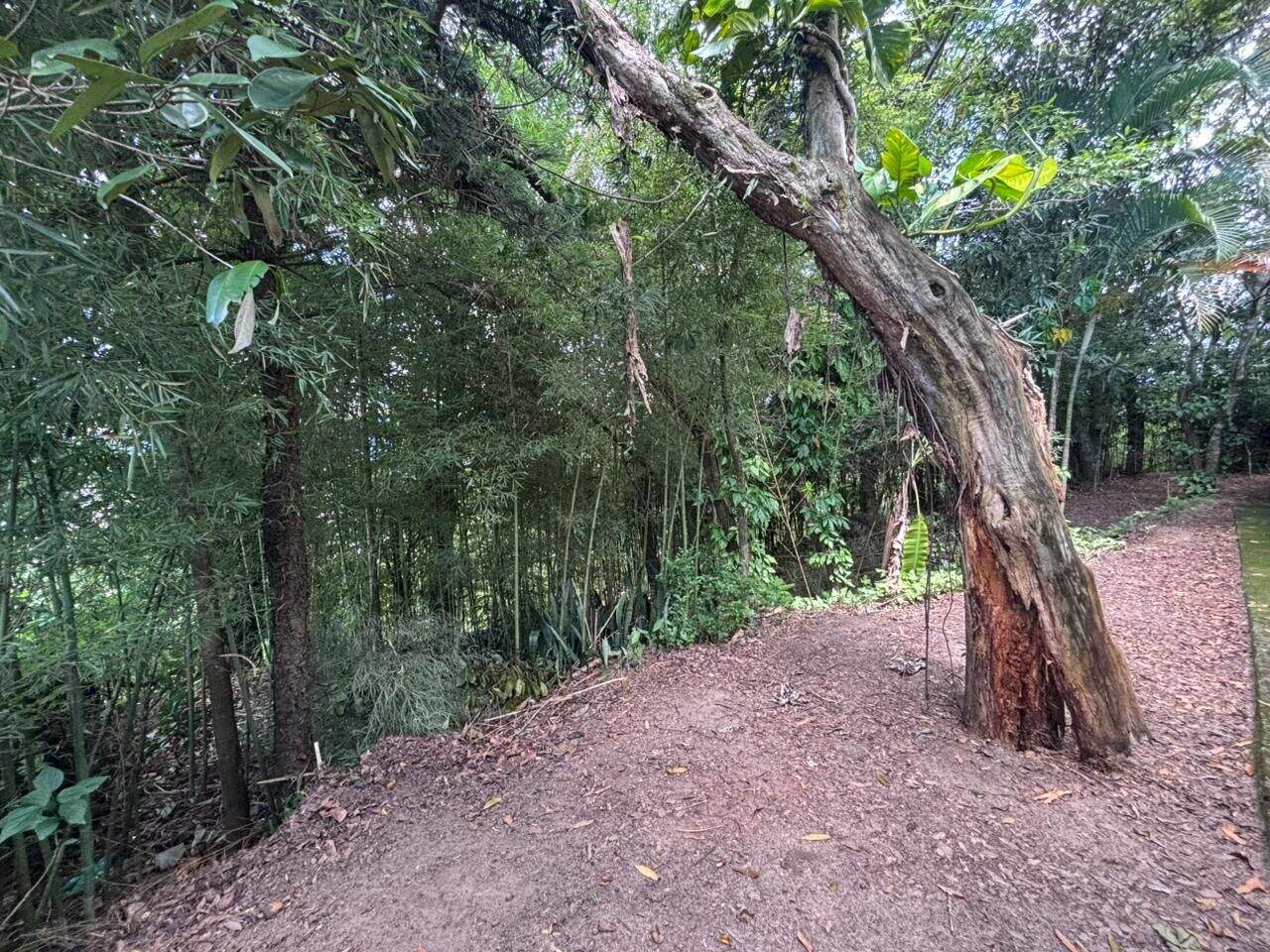 Terreno à venda no Jardim Dulce (Nova Veneza): 