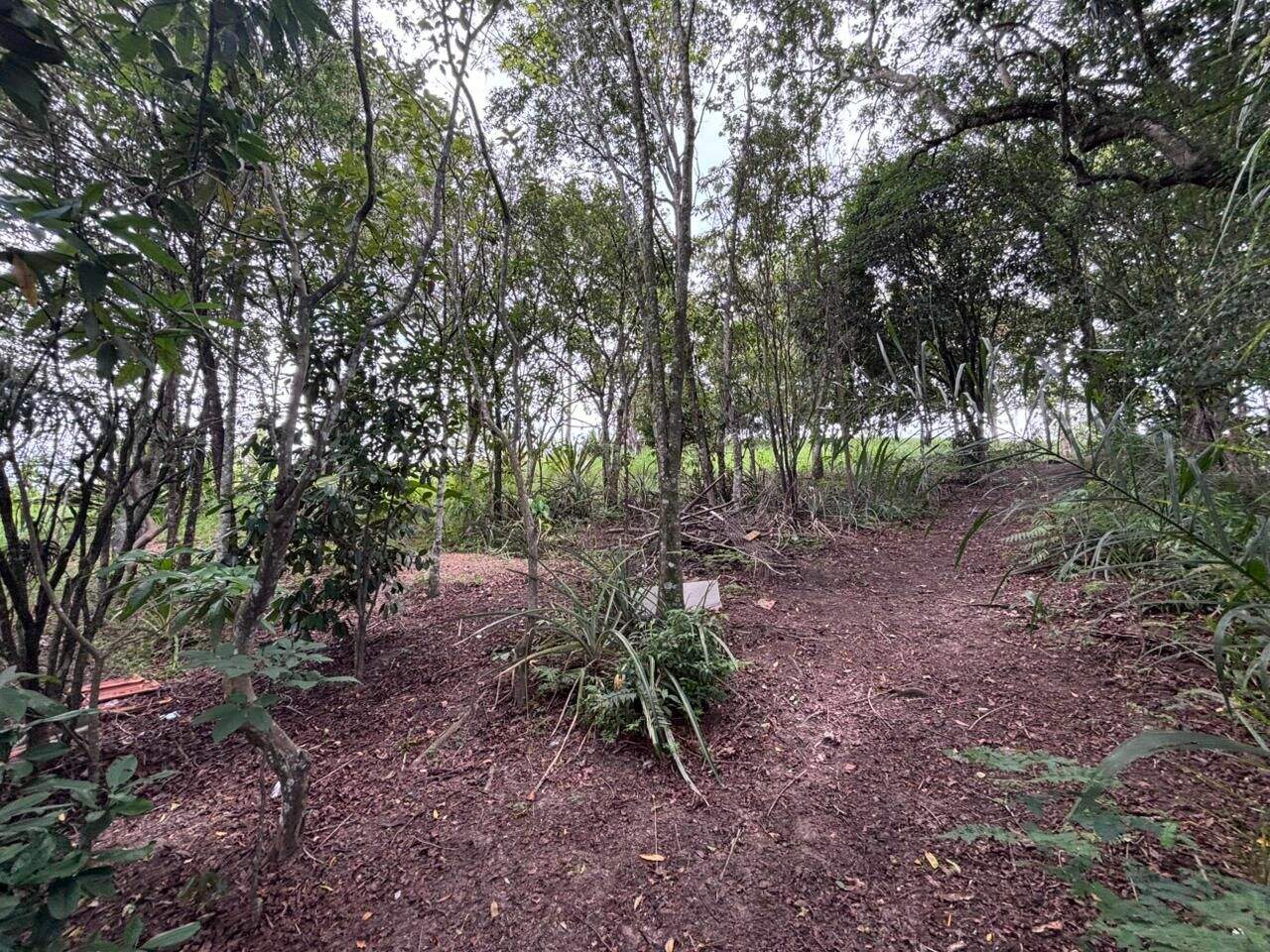 Terreno à venda no Jardim Dulce (Nova Veneza): 
