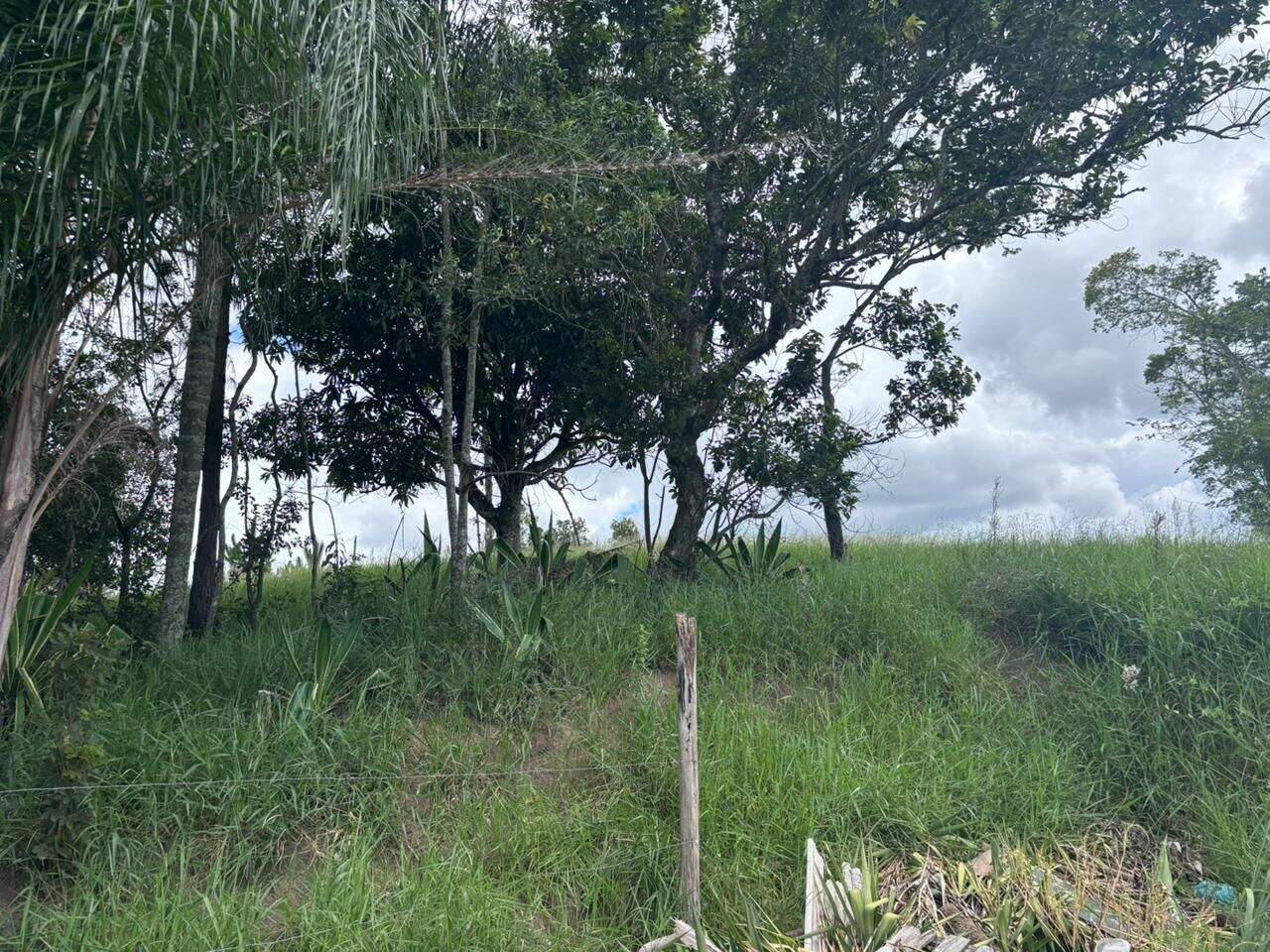 Terreno à venda no Jardim Dulce (Nova Veneza): 