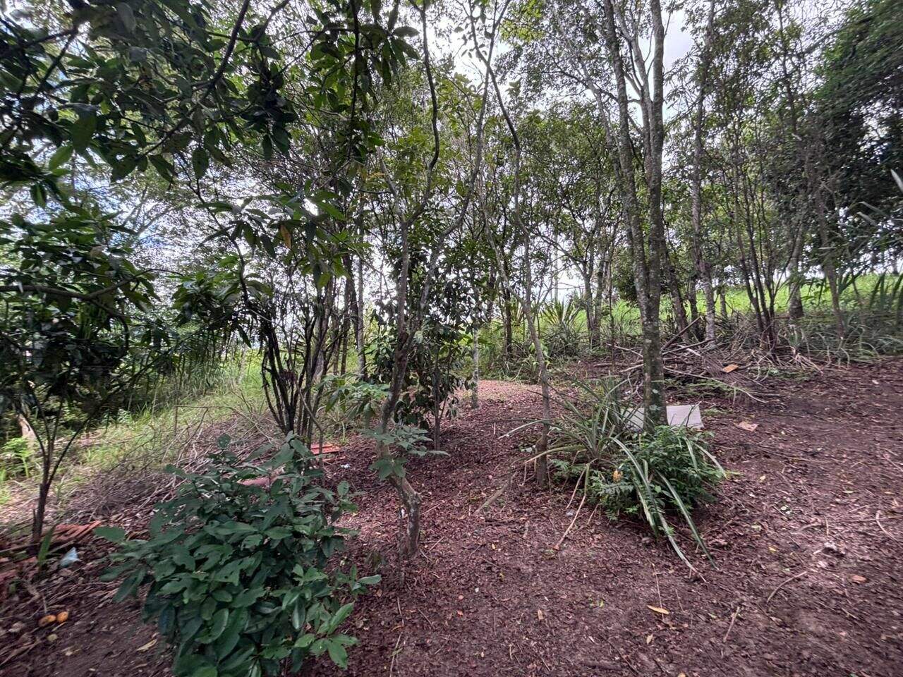 Terreno à venda no Jardim Dulce (Nova Veneza): 