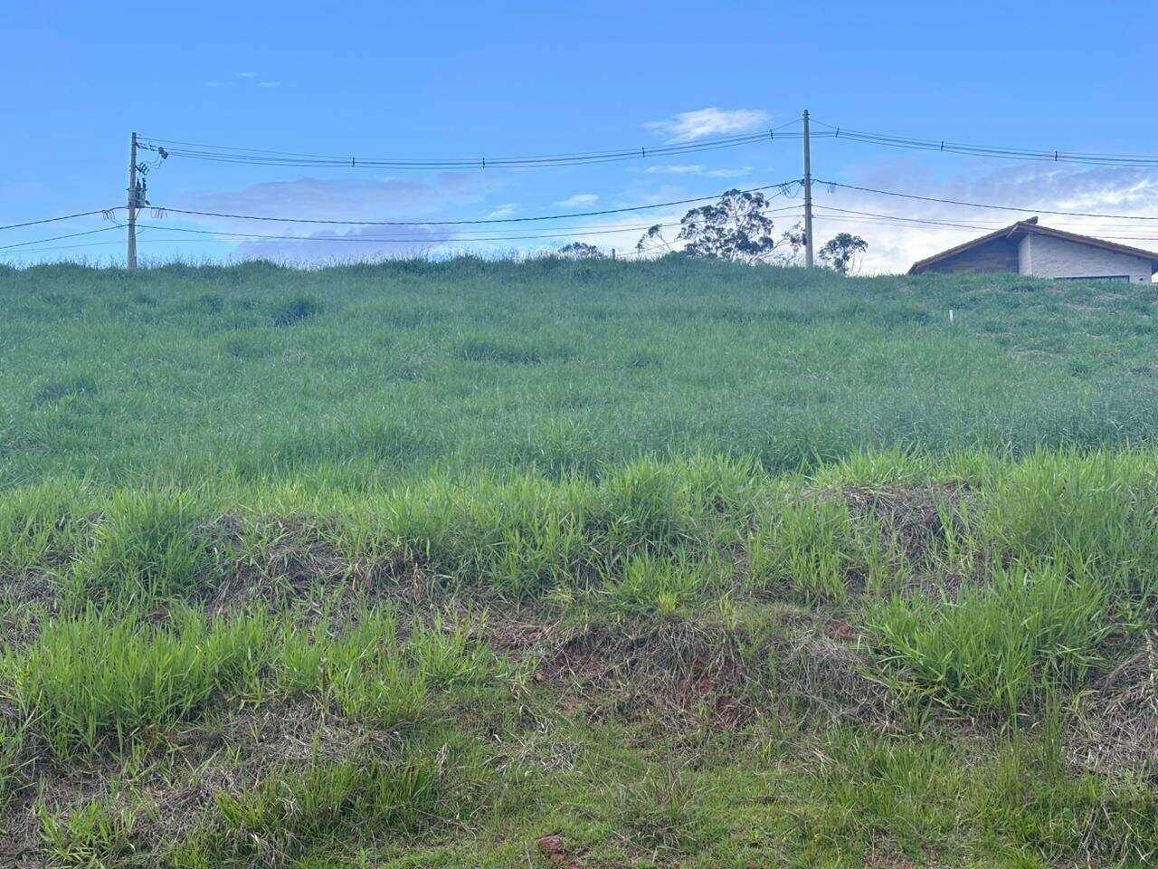 Terreno à venda no Ipiranga: 