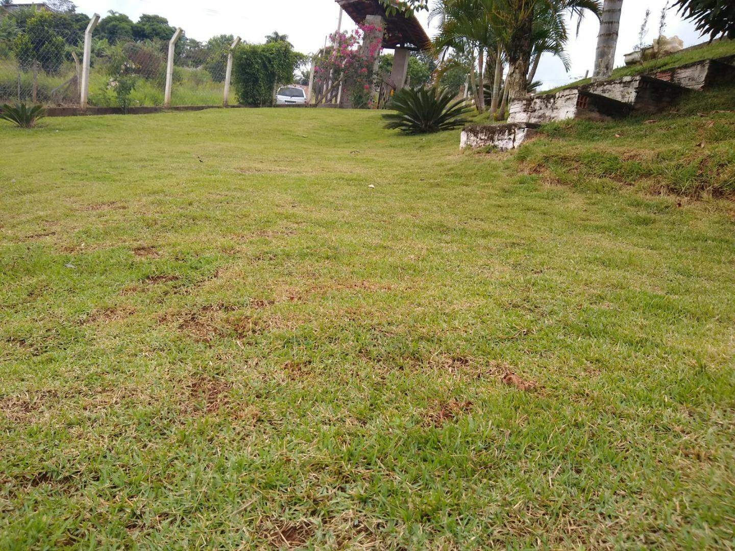 Chácara à venda no Nogueira: 