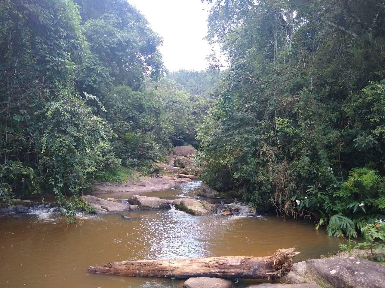 Terreno à venda no Nogueira: 
