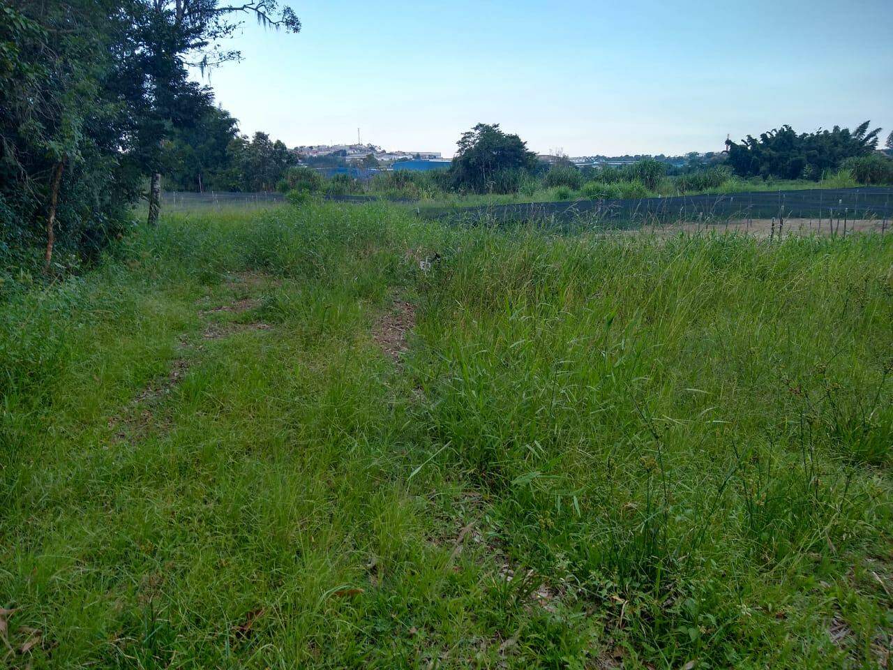 Terreno à venda no Nogueira: 