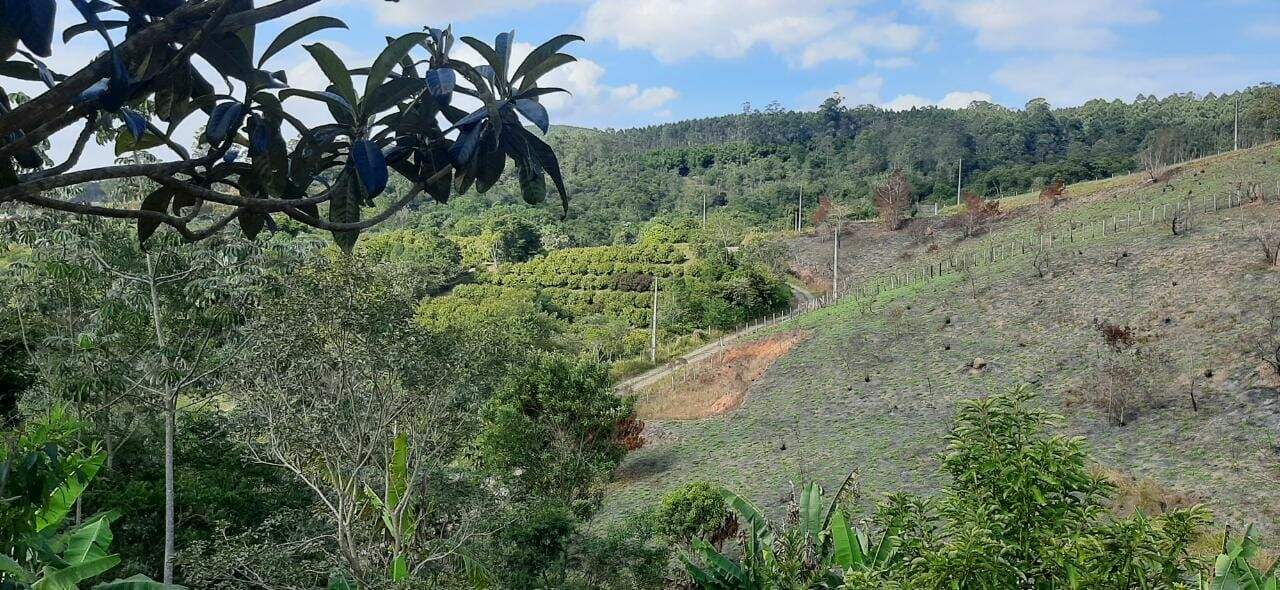 Chácara à venda no Costao: 