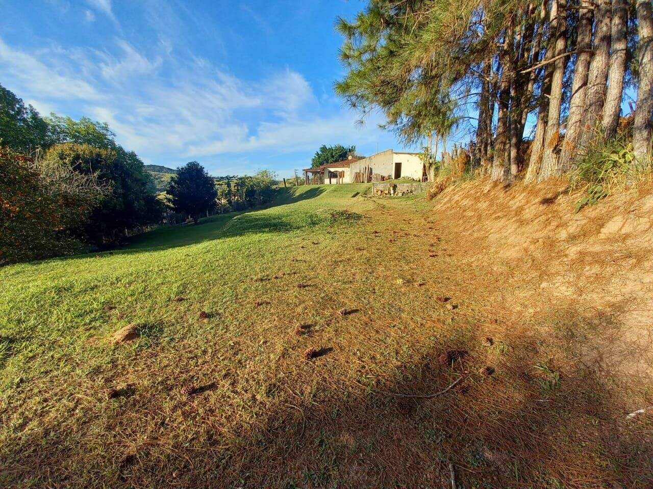 Terreno à venda no Luiz Carlos: 