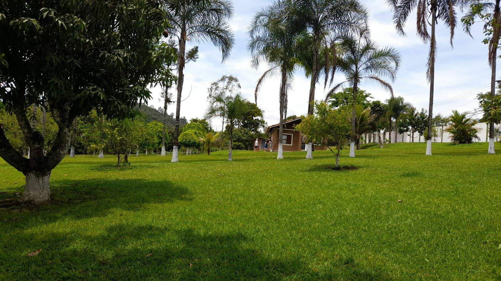 Chácara à venda no Santa Branca: 