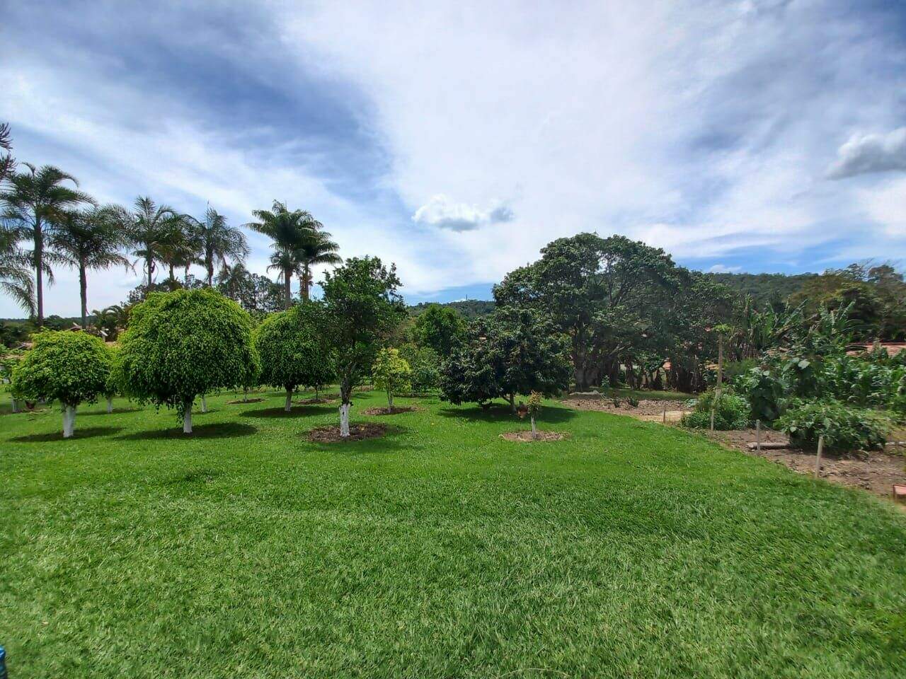 Chácara à venda no Santa Branca: 