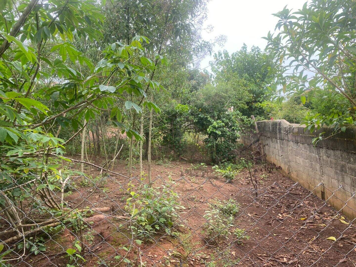 Terreno à venda no Chacara Santa Branca: 