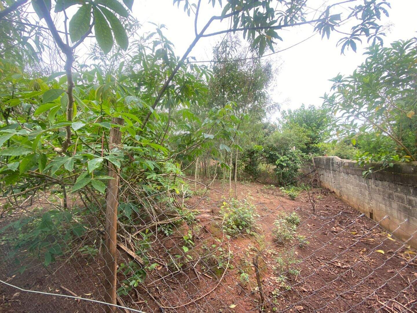 Terreno à venda no Chacara Santa Branca: 