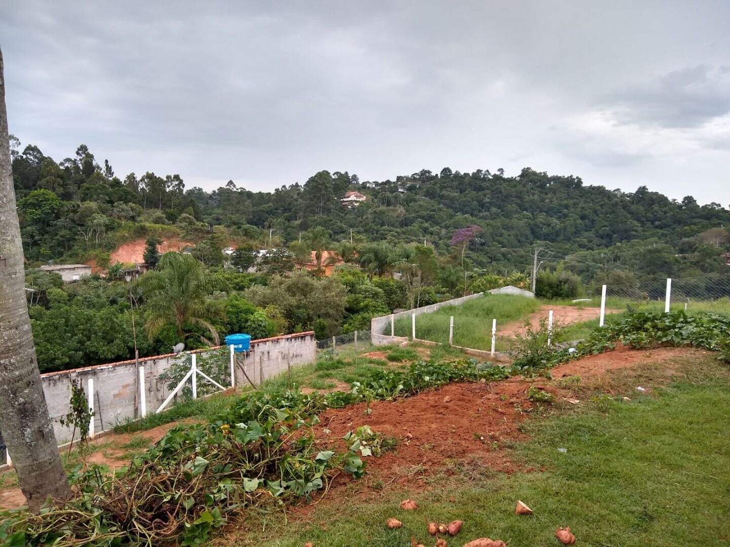 Chácara à venda no Parque Agrinco: 