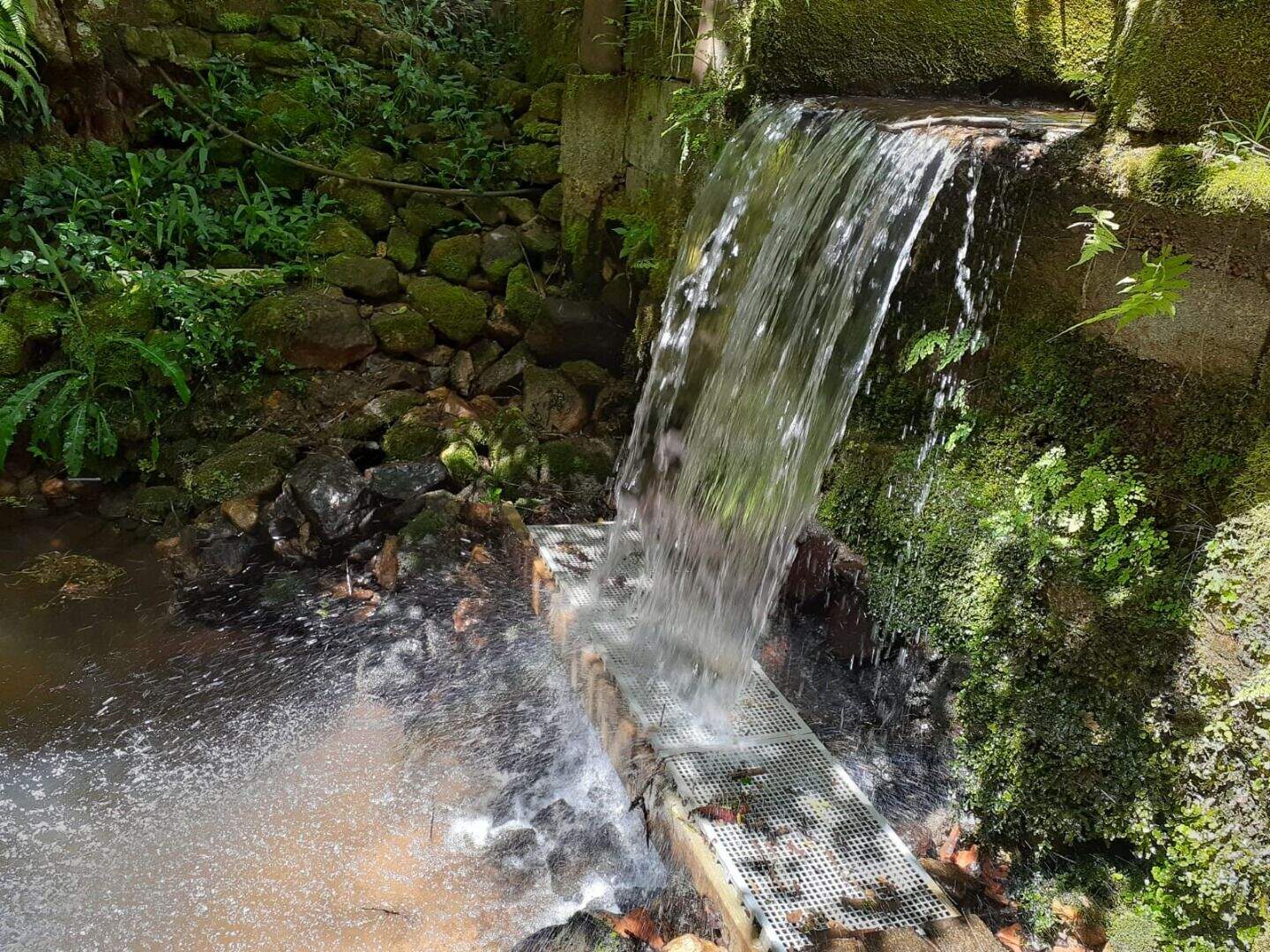 Sítio à venda no Sapucai Mirim: 