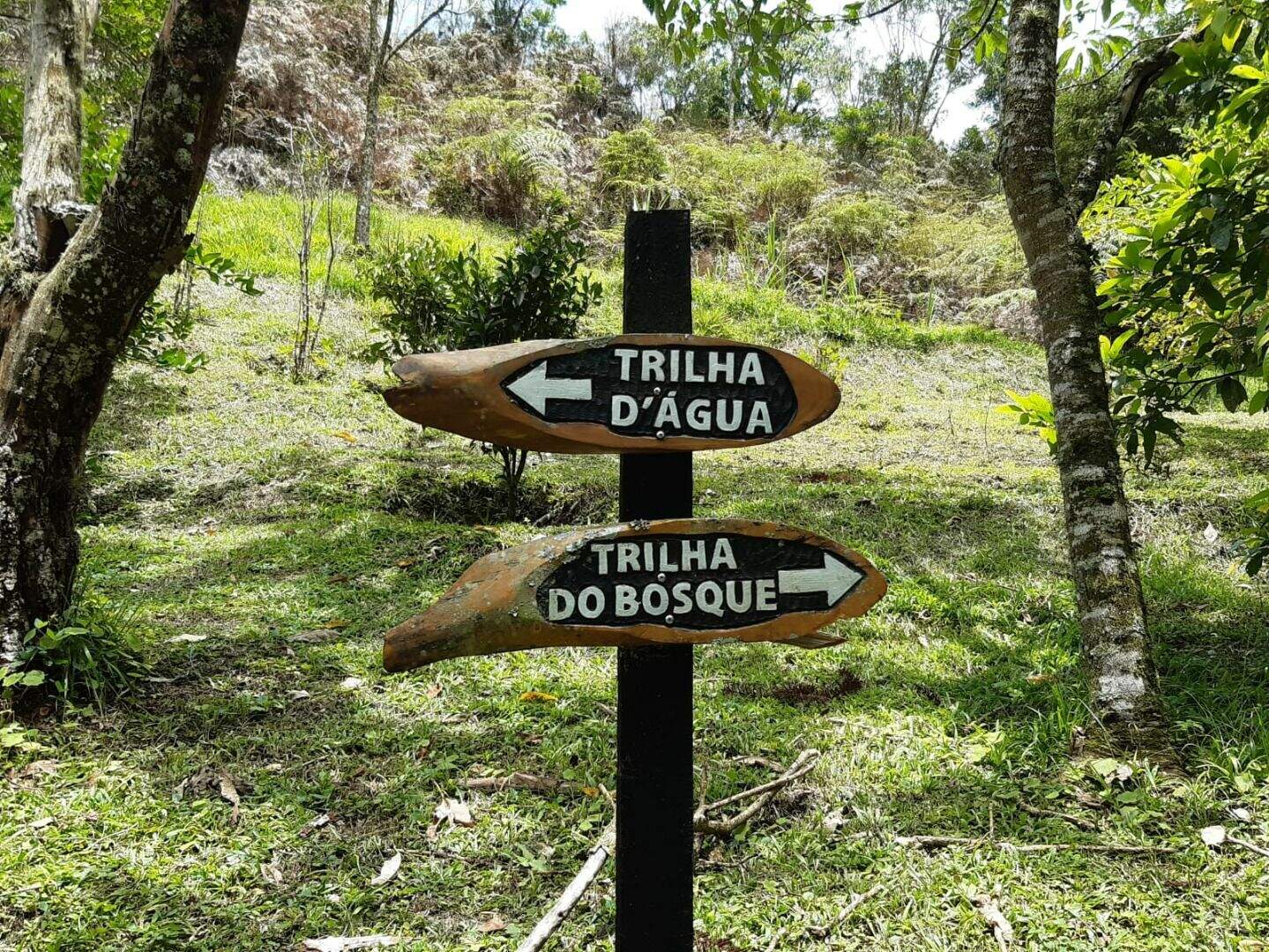 Sítio à venda no Sapucai Mirim: 