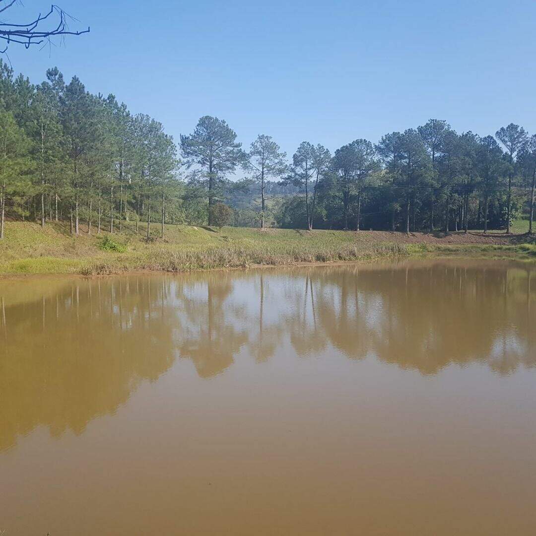 Sítio à venda no Jardim Helena: 