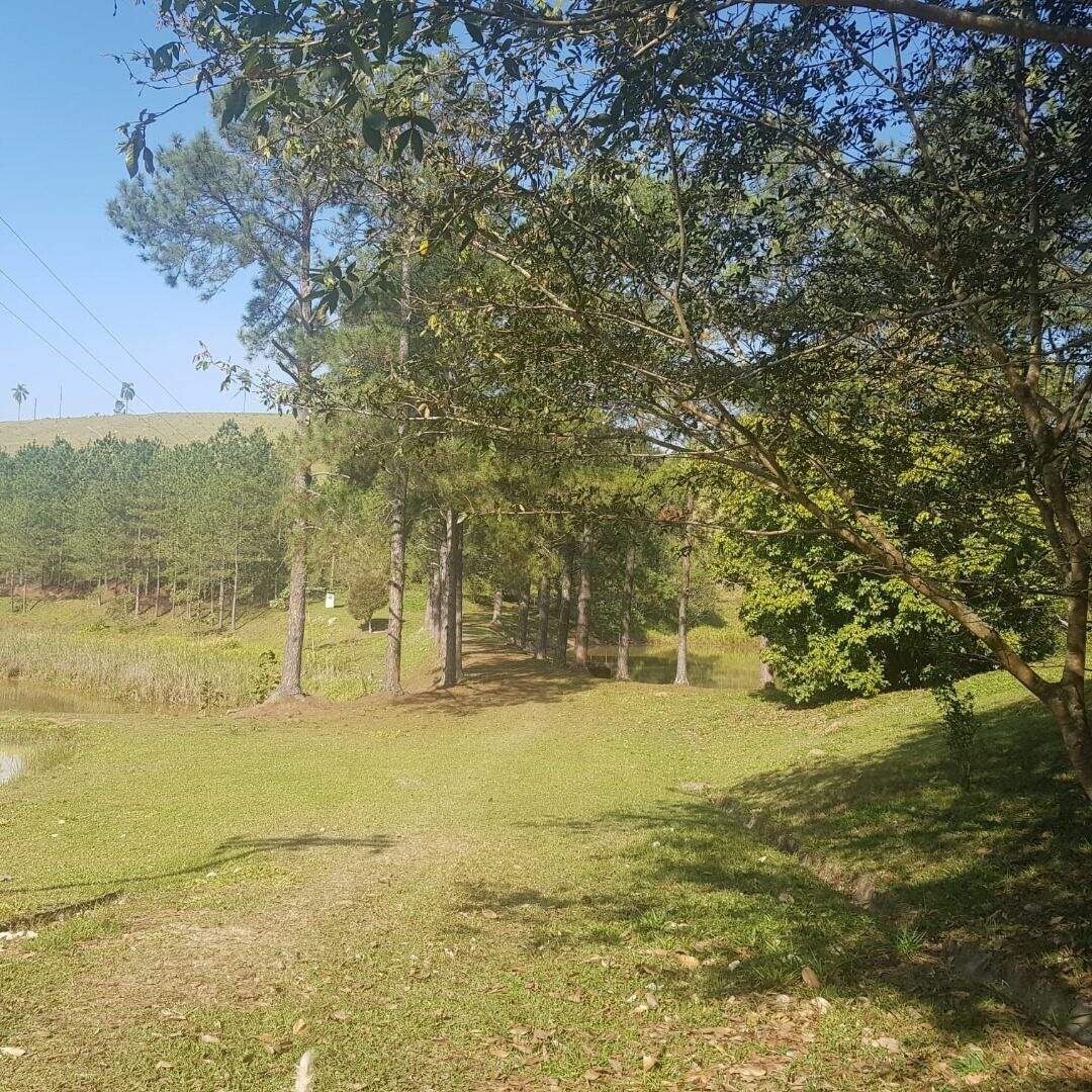 Sítio à venda no Jardim Helena: 