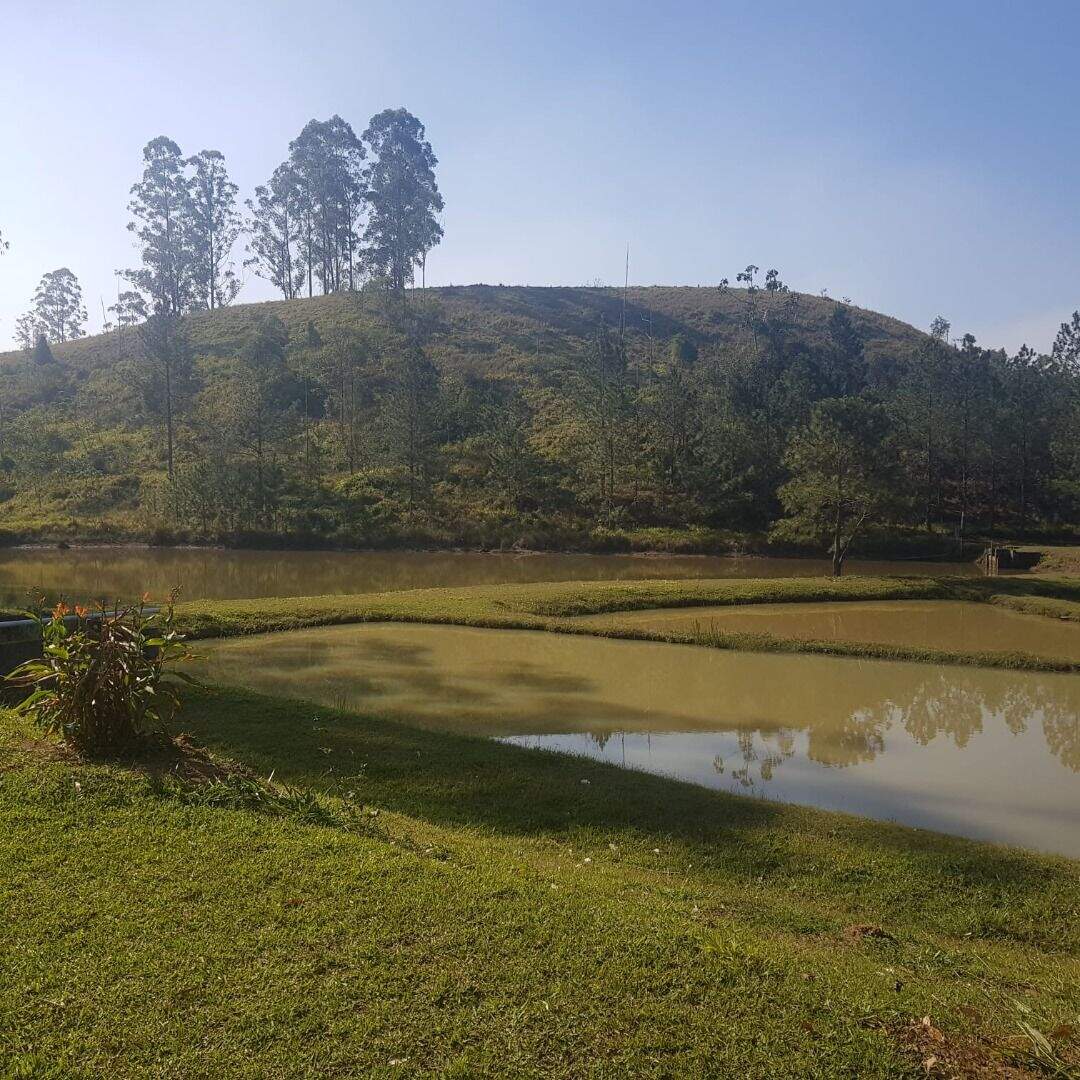 Sítio à venda no Jardim Helena: 