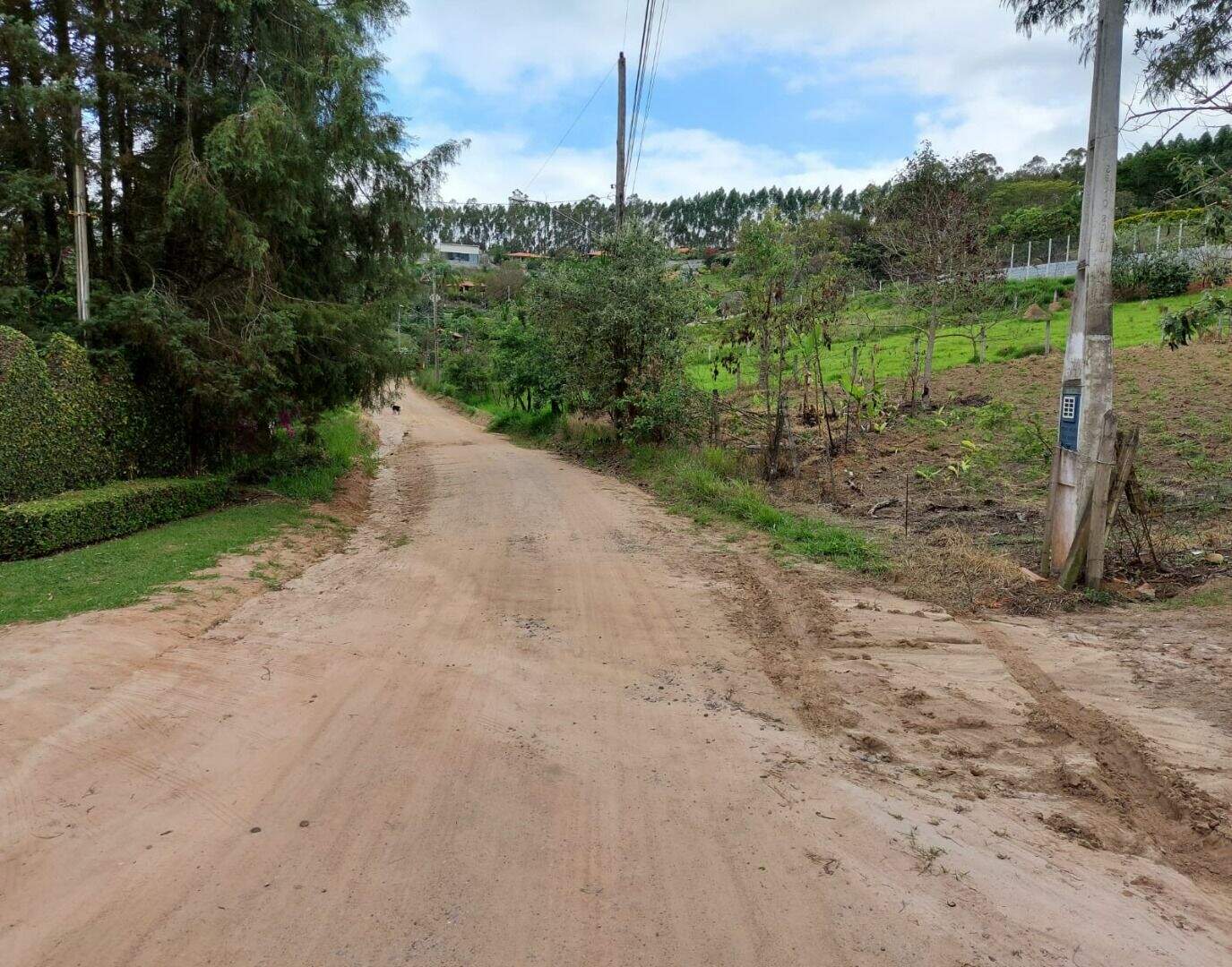 Terreno à venda no Nova Ponte Alta: 