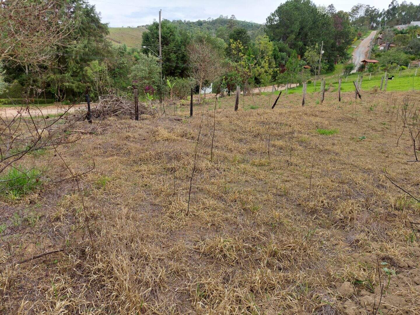 Terreno à venda no Nova Ponte Alta: 