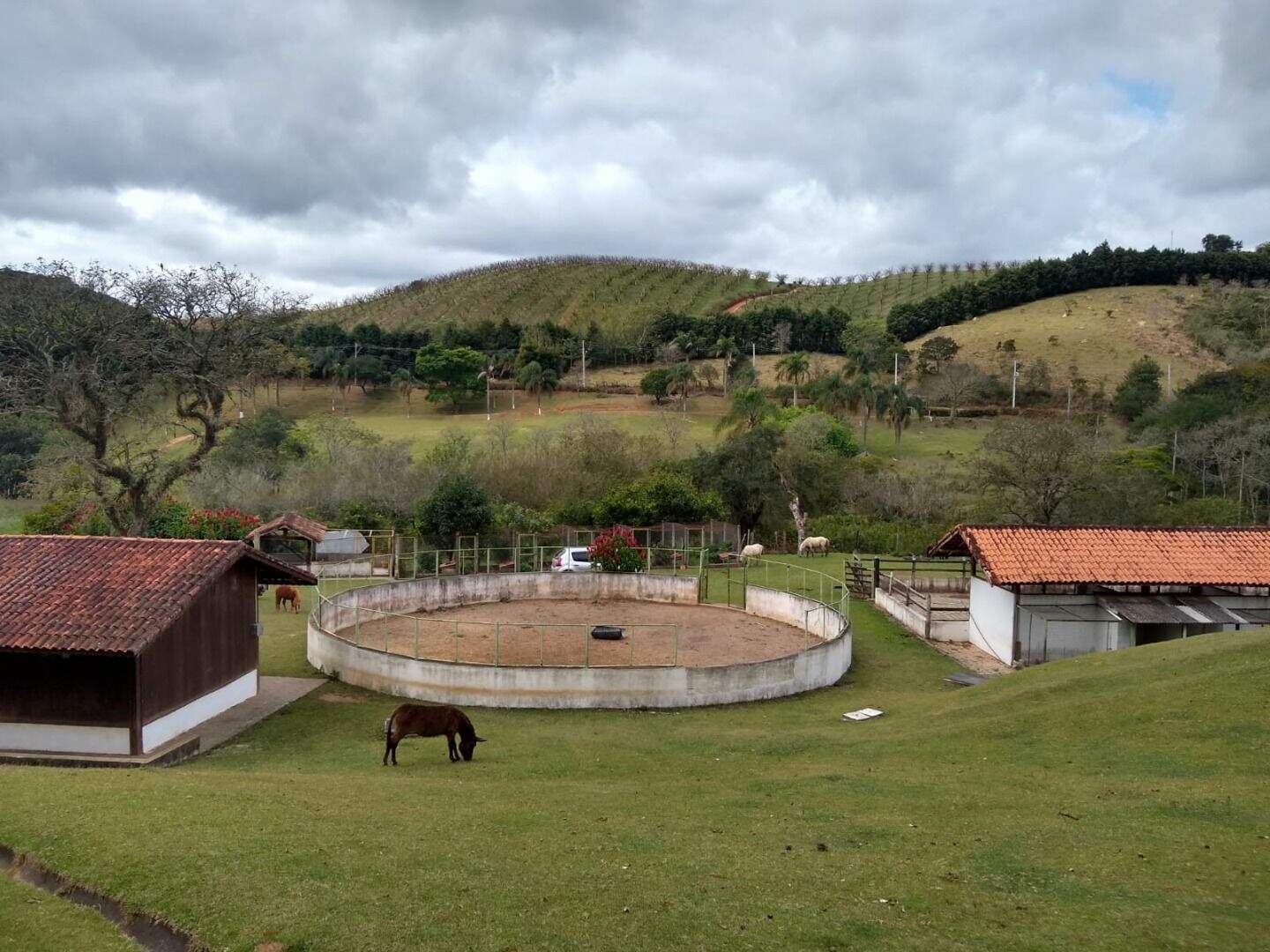Sítio à venda no Luiz Carlos: 