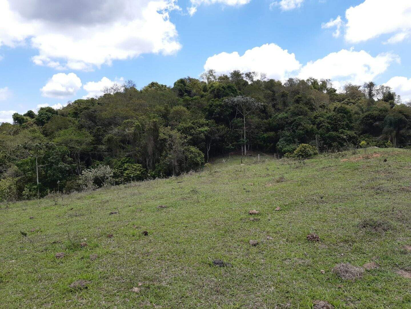 Terreno à venda no Centro: 