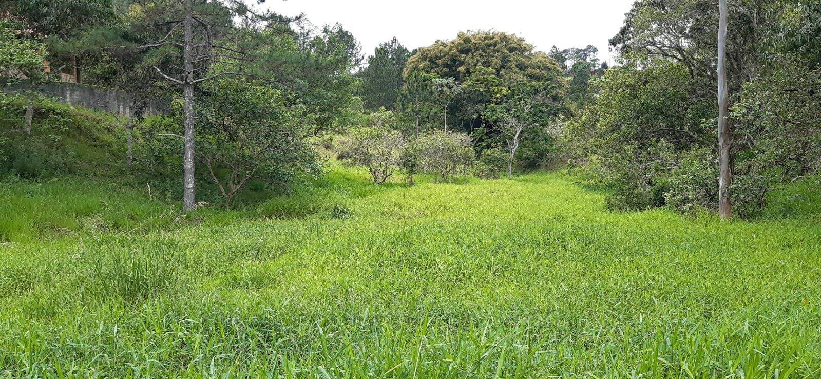 Sítio à venda no Parque Agrinco: 