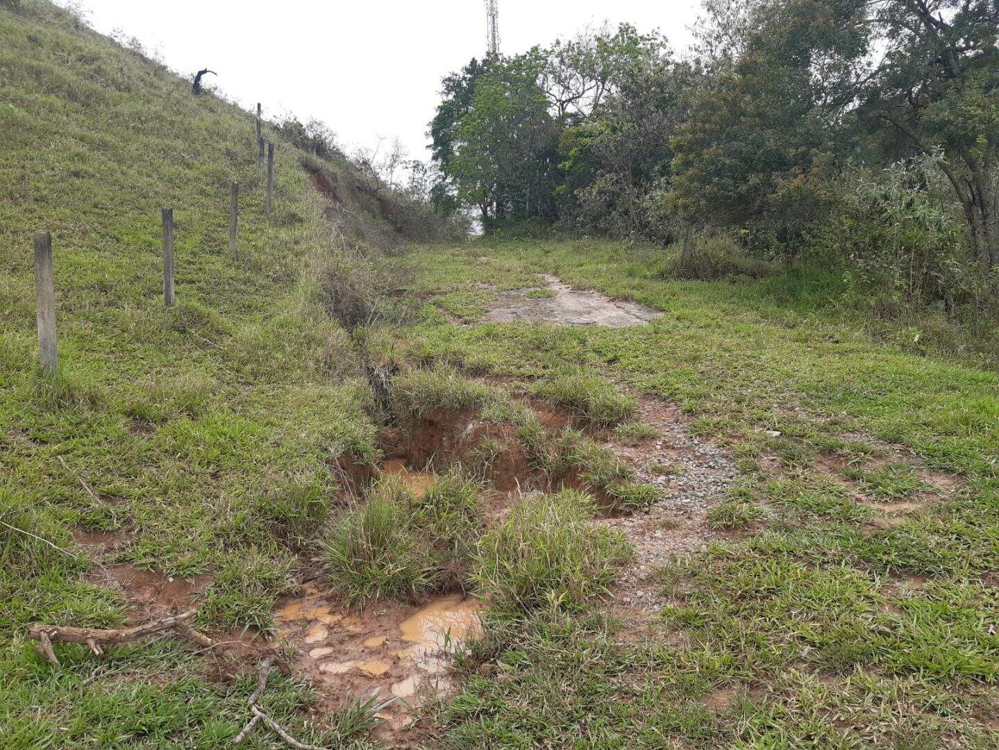 Sítio à venda no Bandeira Branca: 