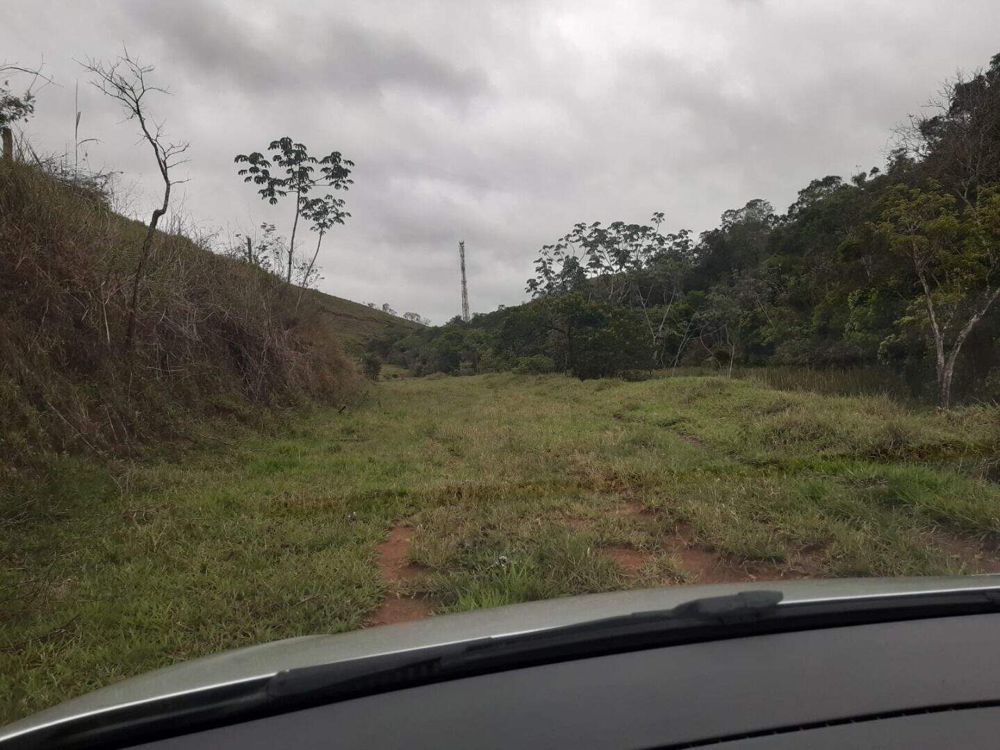 Sítio à venda no Bandeira Branca: 