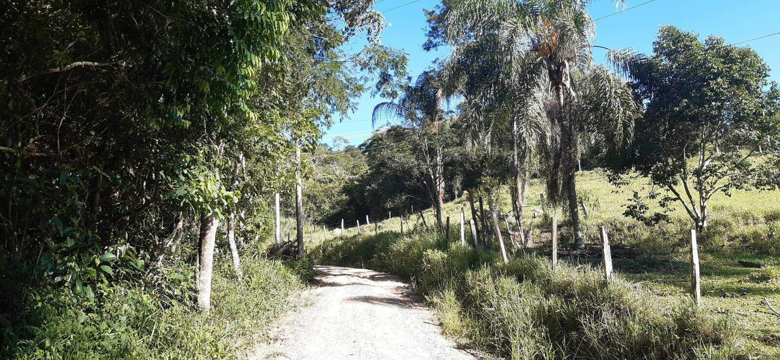 Terreno à venda no Parque Agrinco: 