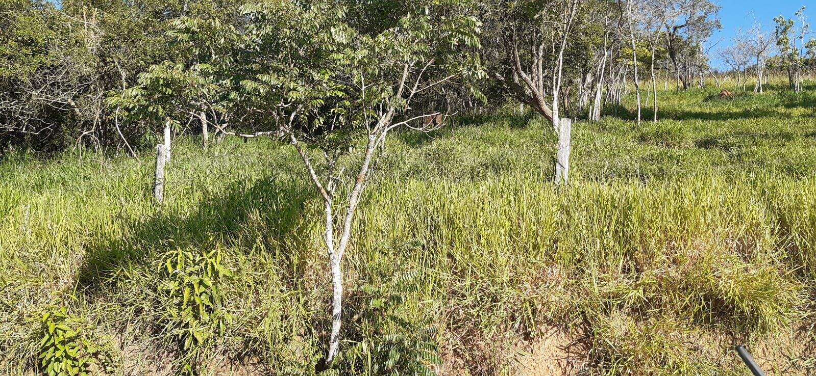 Terreno à venda no Parque Agrinco: 