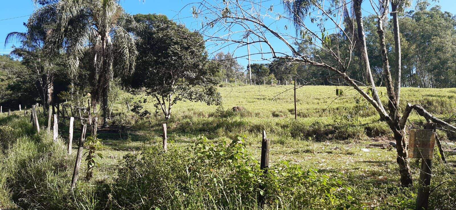 Terreno à venda no Parque Agrinco: 
