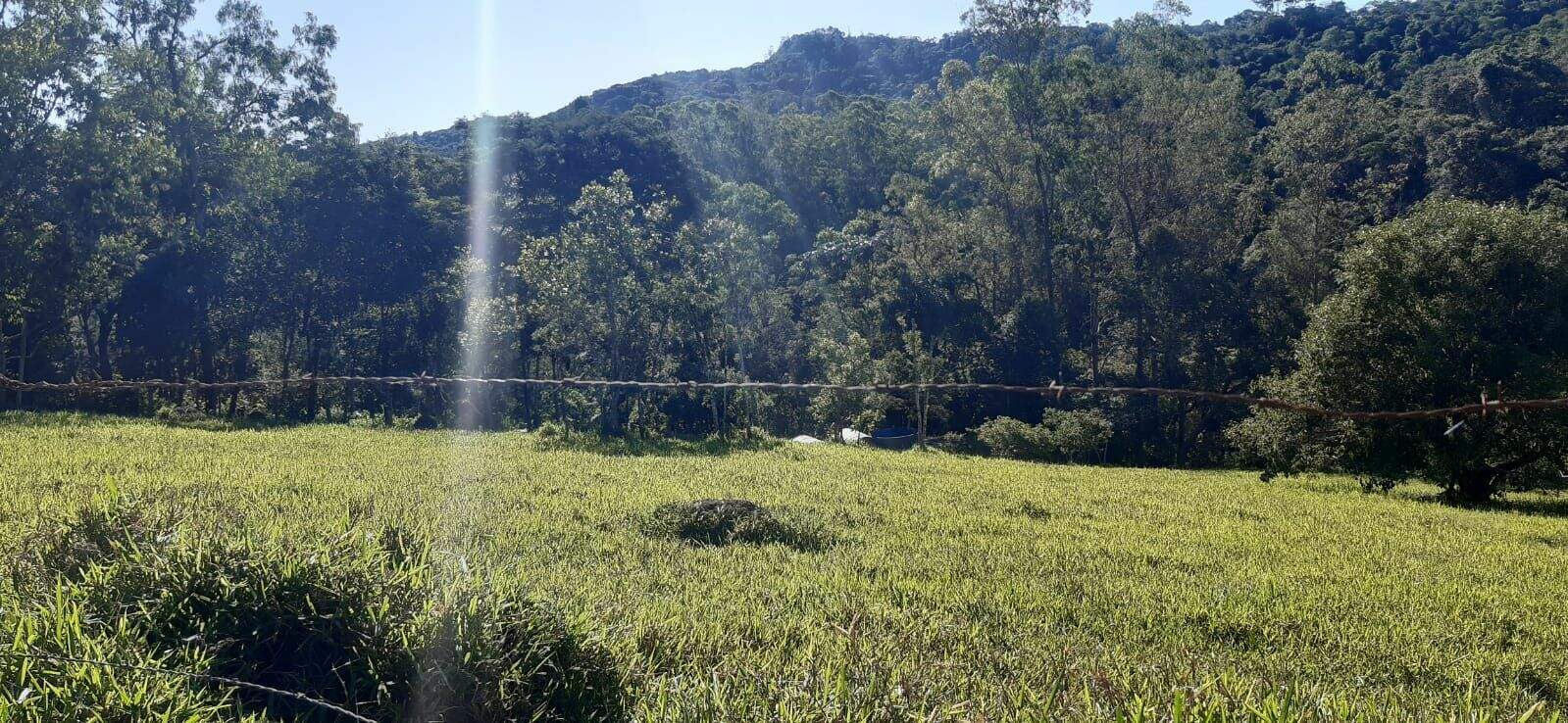 Terreno à venda no Parque Agrinco: 