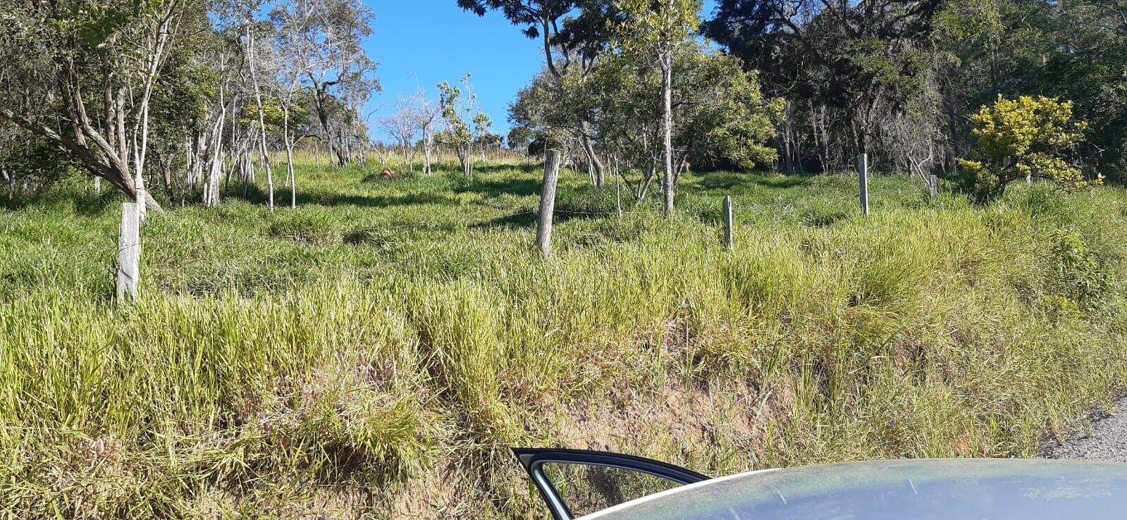 Terreno à venda no Parque Agrinco: 
