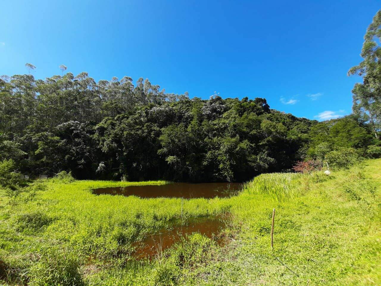 Sítio à venda no Fazenda Paião (Alpes de Guararema): 