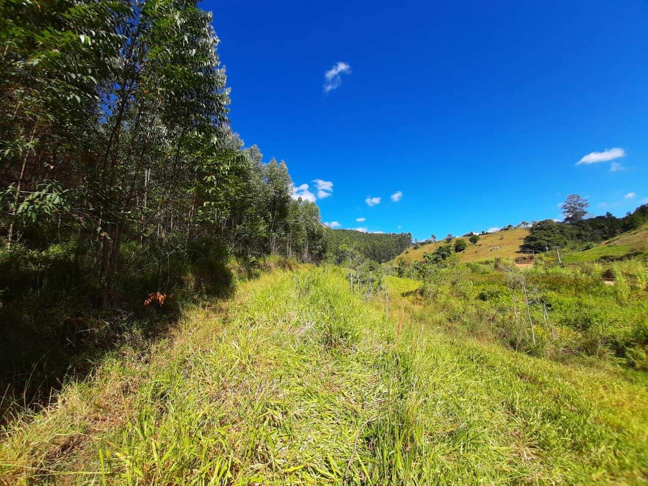Sítio à venda no Fazenda Paião (Alpes de Guararema): 