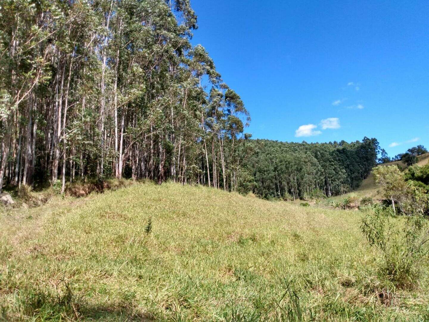 Sítio à venda no Fazenda Paião (Alpes de Guararema): 