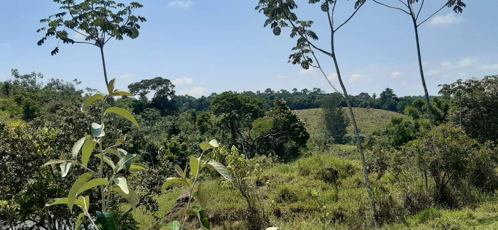 Sítio à venda no Maracatu: 