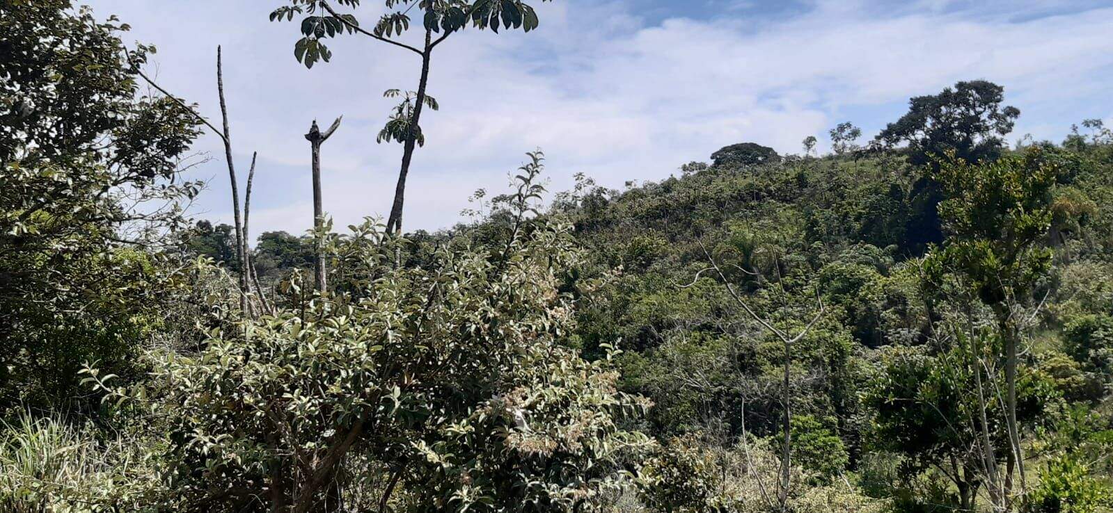 Sítio à venda no Maracatu: 