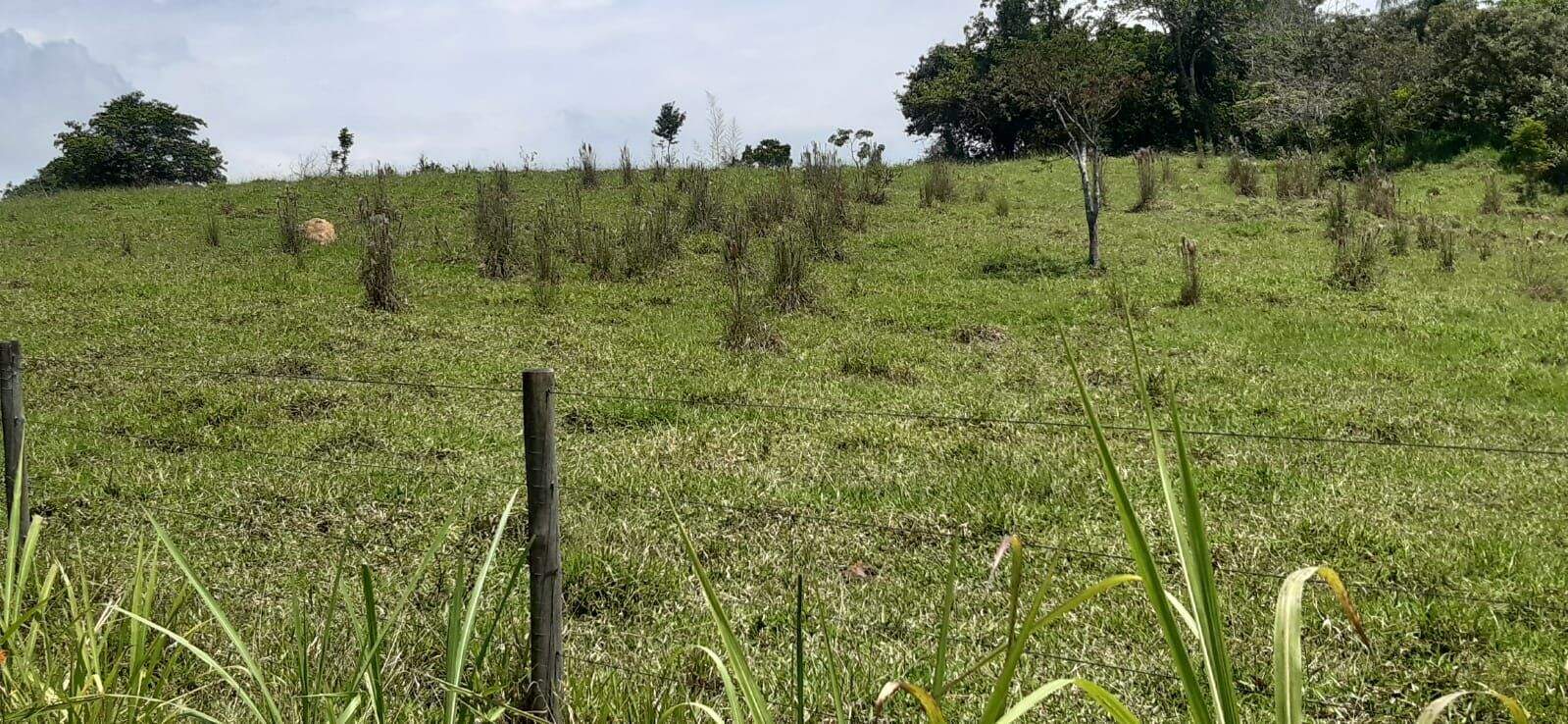 Sítio à venda no Maracatu: 
