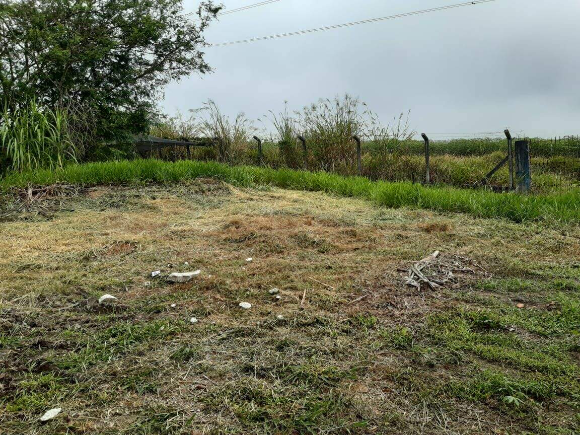 Sítio à venda no Parque Agrinco: 