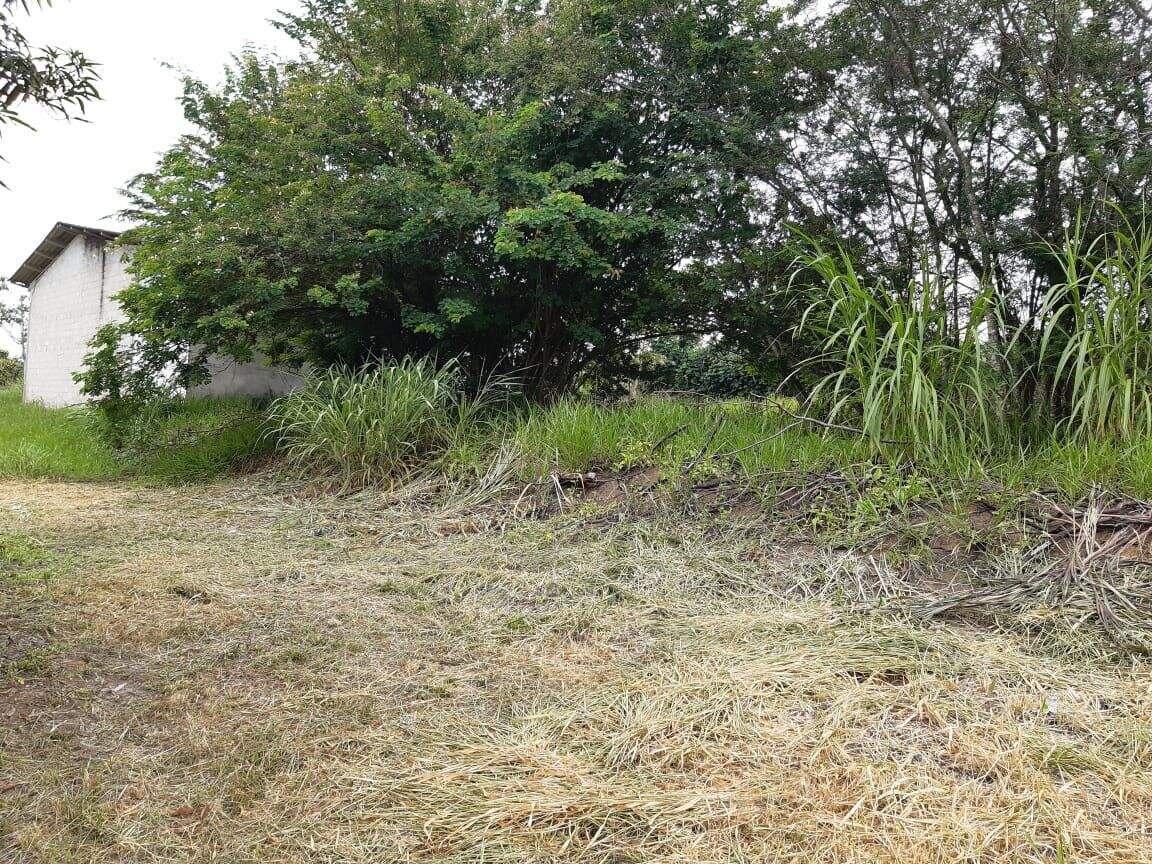 Sítio à venda no Parque Agrinco: 