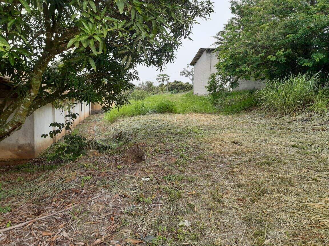 Sítio à venda no Parque Agrinco: 