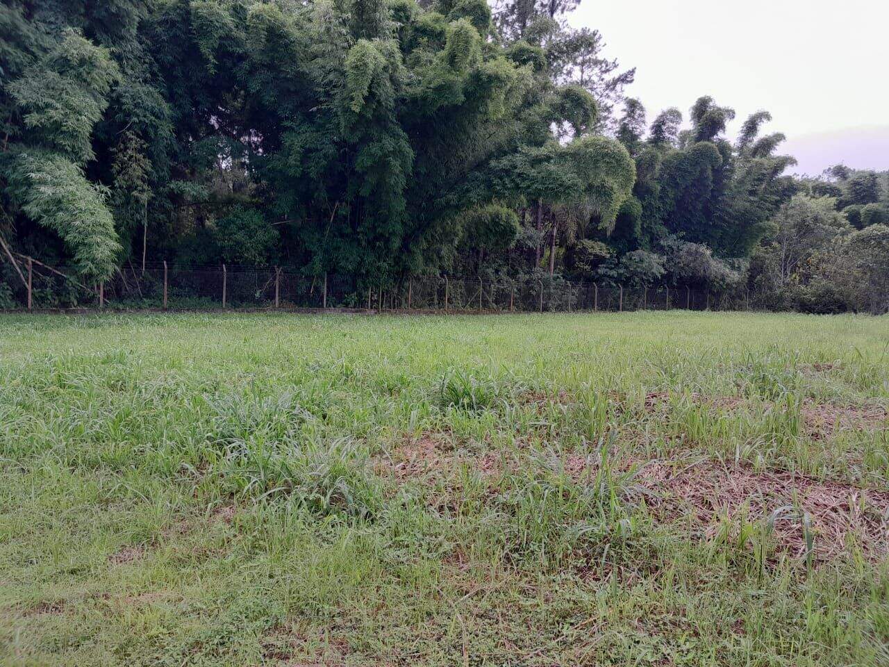 Terreno à venda no Recanto da Cachoeira: 
