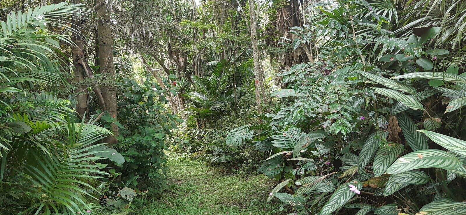 Terreno à venda no Jardim Santos Dumont: 