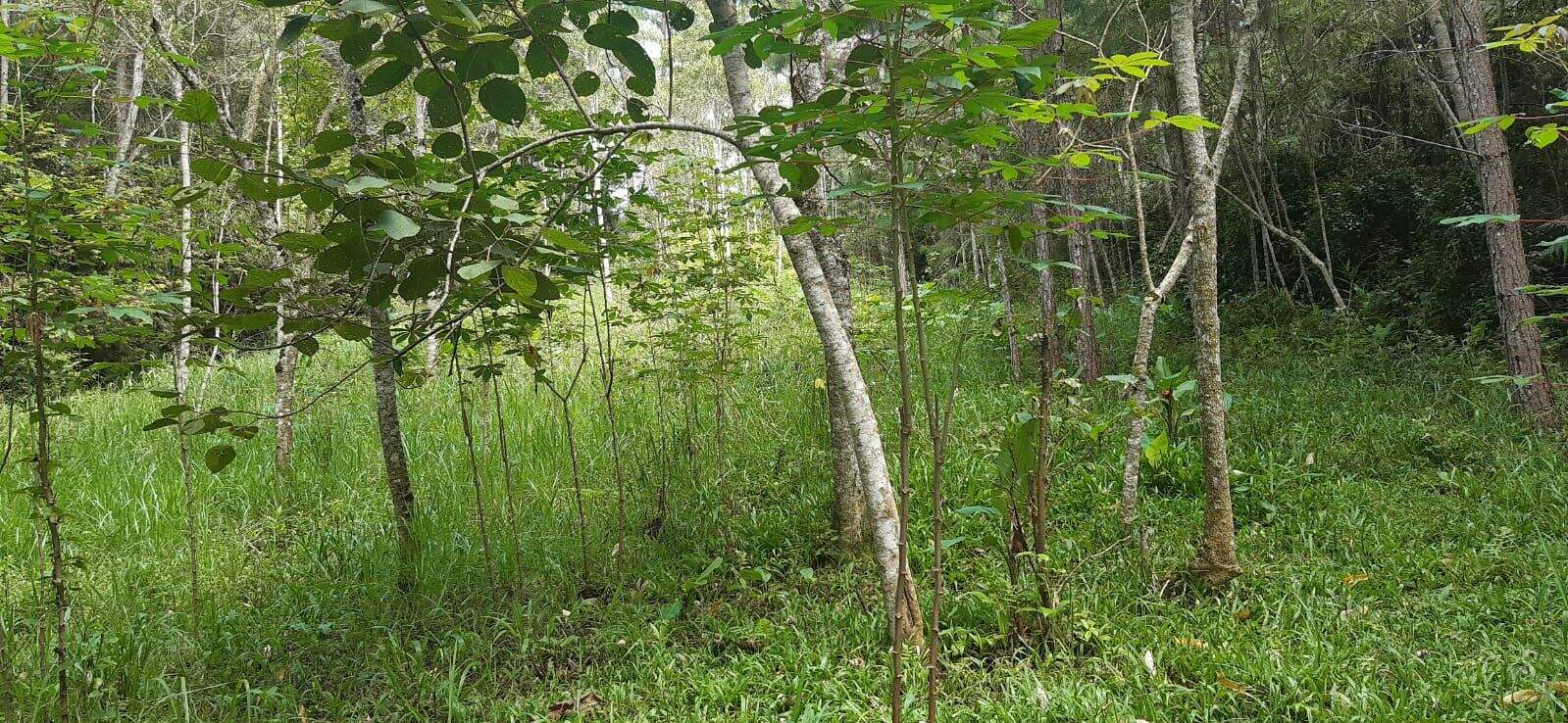 Terreno à venda no Jardim Santos Dumont: 