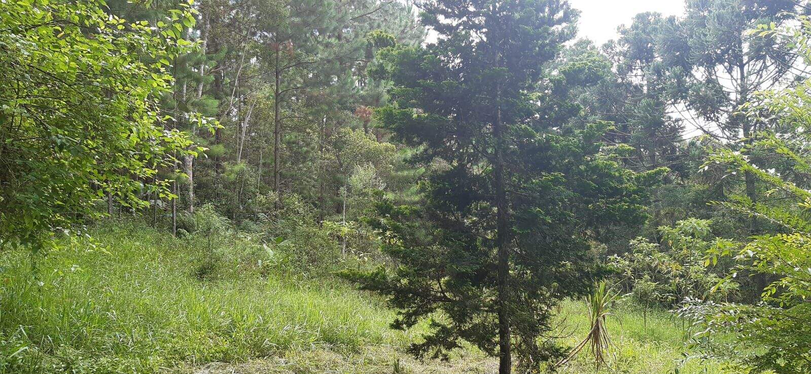 Terreno à venda no Jardim Santos Dumont: 
