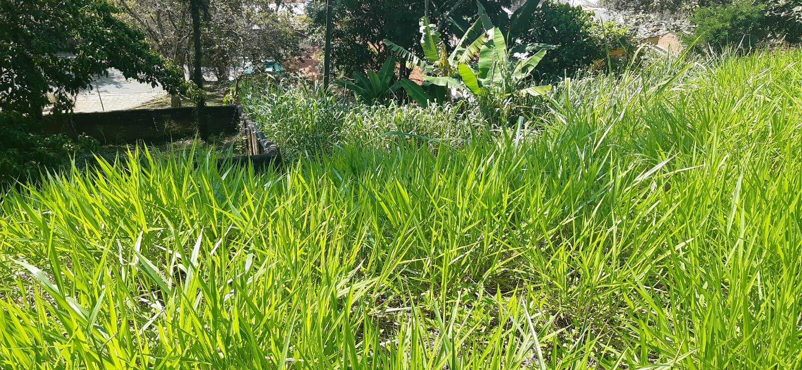 Terreno à venda no Centro: 