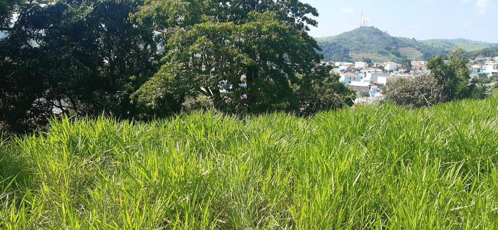 Terreno à venda no Centro: 